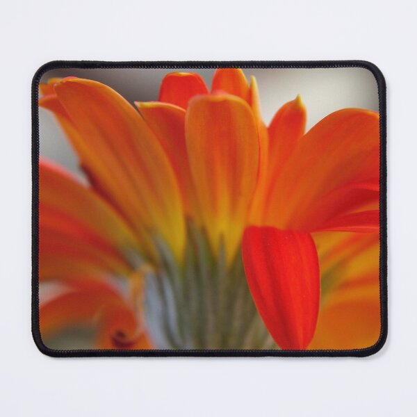 Item preview, Florencia designed and sold by equilibrio.