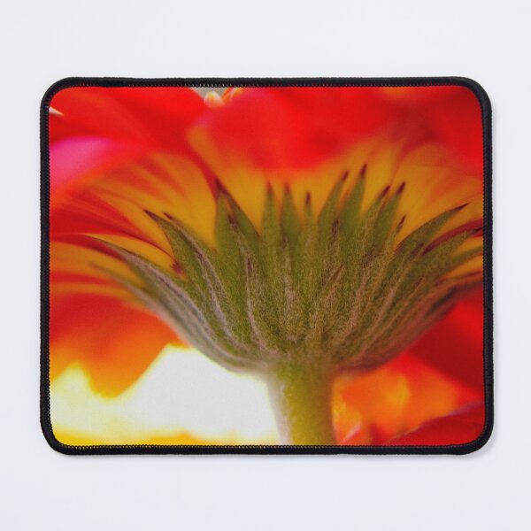 Item preview, Feelings designed and sold by equilibrio.