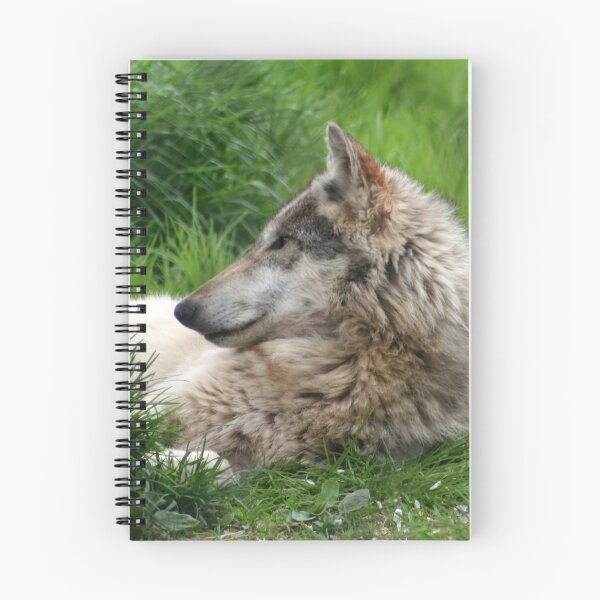 Item preview, Observing designed and sold by Kerri Ann McClellan.