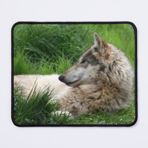 Item preview, Observing designed and sold by Kerri Ann McClellan.