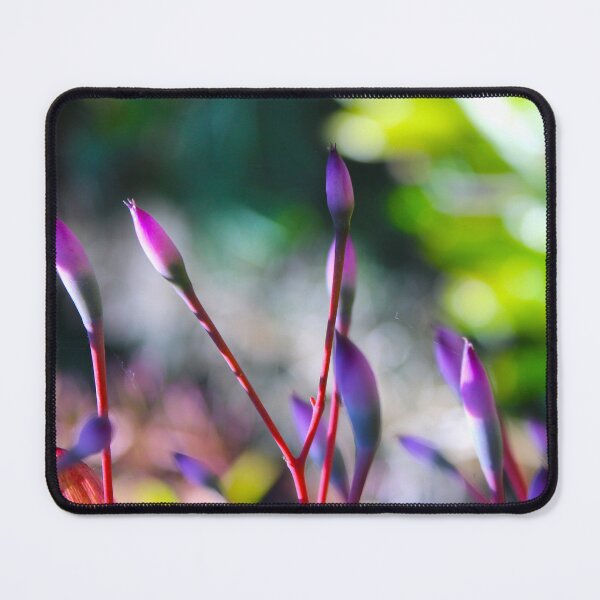 Item preview, Wind designed and sold by equilibrio.