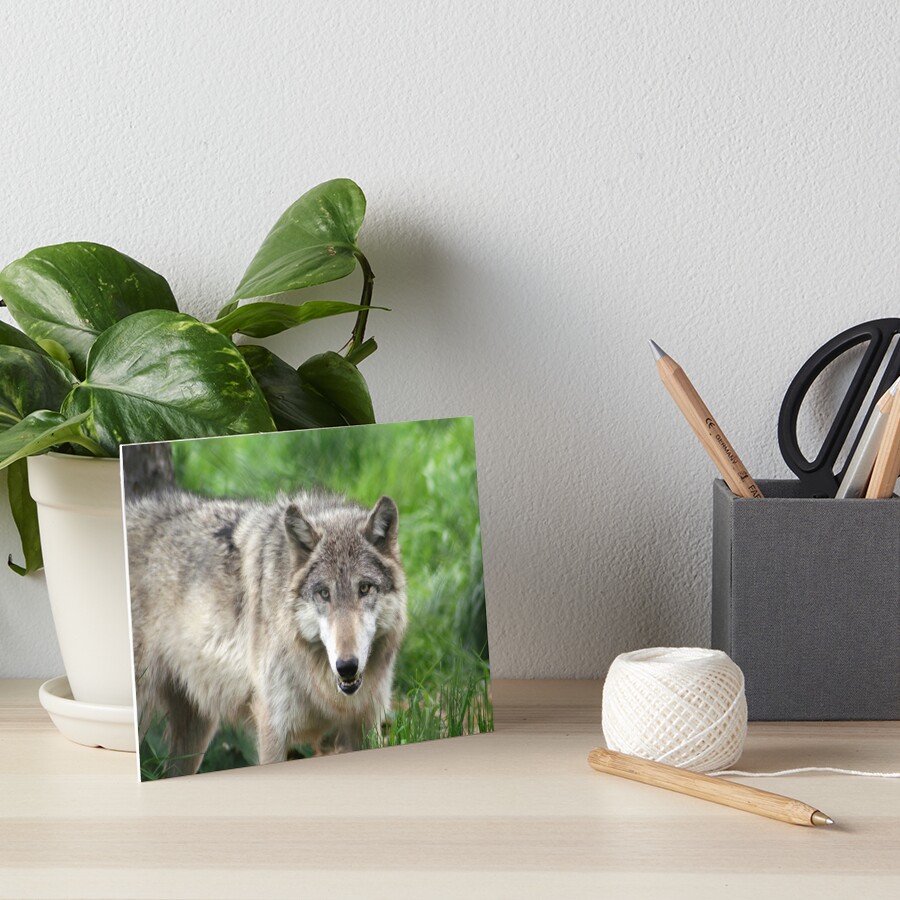 Item preview, Art Board Print designed and sold by indigocrow.