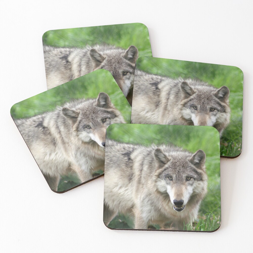 Item preview, Coasters (Set of 4) designed and sold by indigocrow.