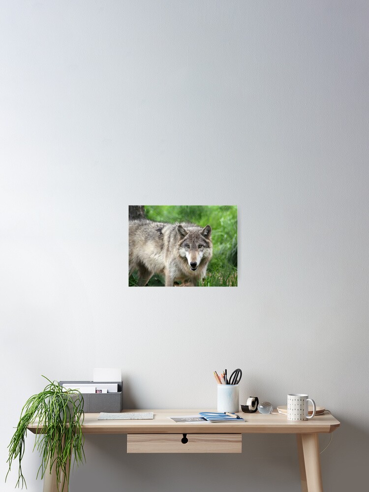 Thumbnail 2 of 3, Poster, Eye Contact designed and sold by indigocrow.
