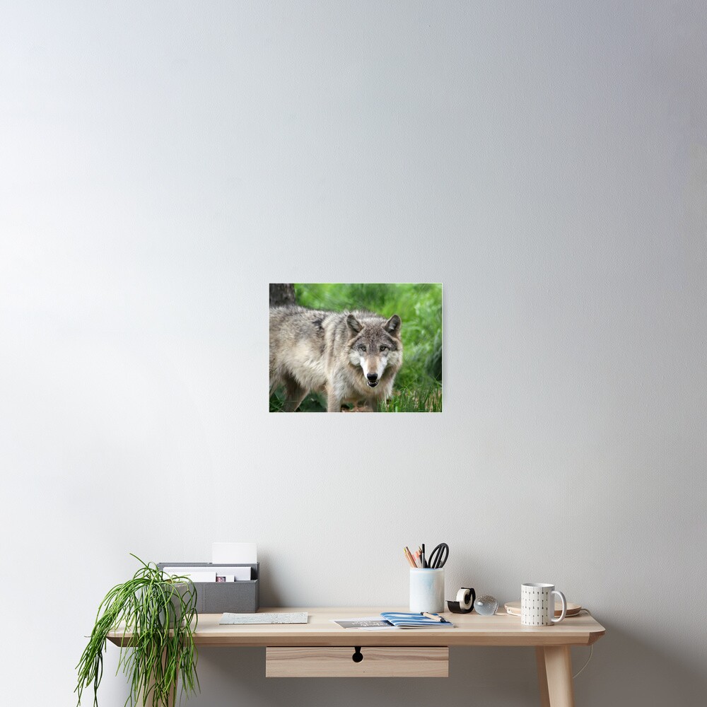 Item preview, Poster designed and sold by indigocrow.