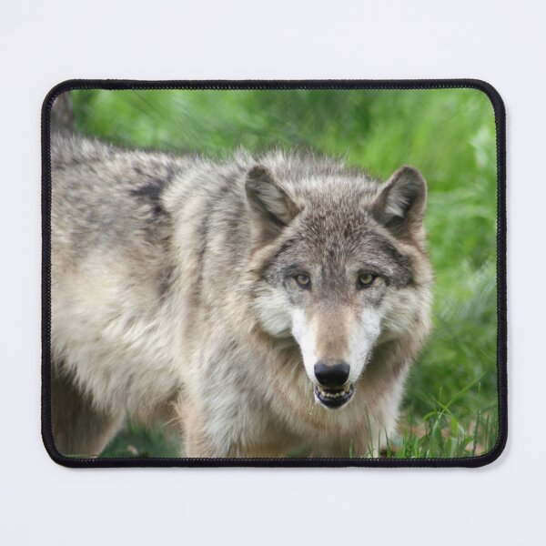 Item preview, Eye Contact designed and sold by Kerri Ann McClellan.