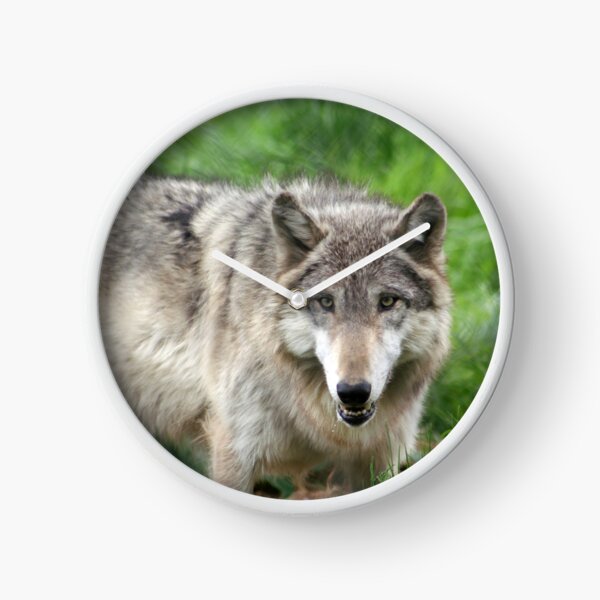 Item preview, Eye Contact designed and sold by Kerri Ann McClellan.