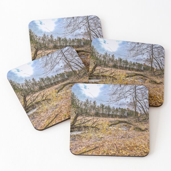 Item preview, Fallen Branches in a Quiet Clearing – Late Autumn Woodland designed and sold by aadventures.