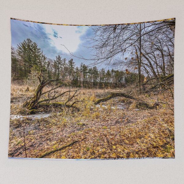 Item preview, Fallen Branches in a Quiet Clearing – Late Autumn Woodland designed and sold by aadventures.
