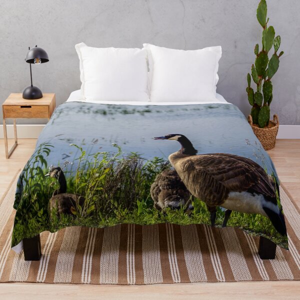 Item preview, Canada Goose Family by the Water – Wetland Wildlife Photography designed and sold by aadventures.