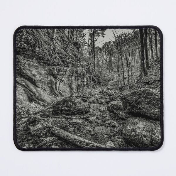 Item preview, Stone Ravine in Black and White – Quiet Forest Landscape designed and sold by aadventures.