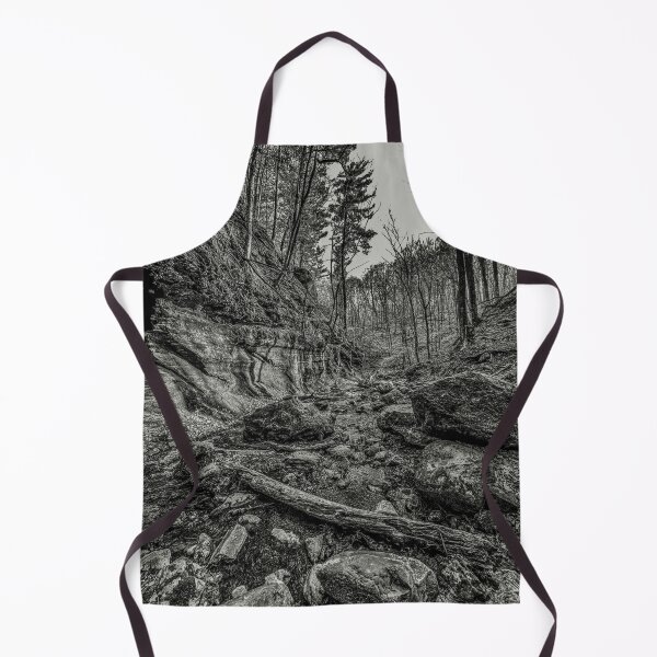 Item preview, Stone Ravine in Black and White – Quiet Forest Landscape designed and sold by aadventures.