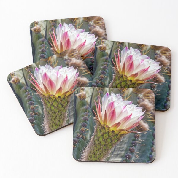 Item preview, Ephemeral Bloom - Andean Cactus Flower designed and sold by Keltoi-art.