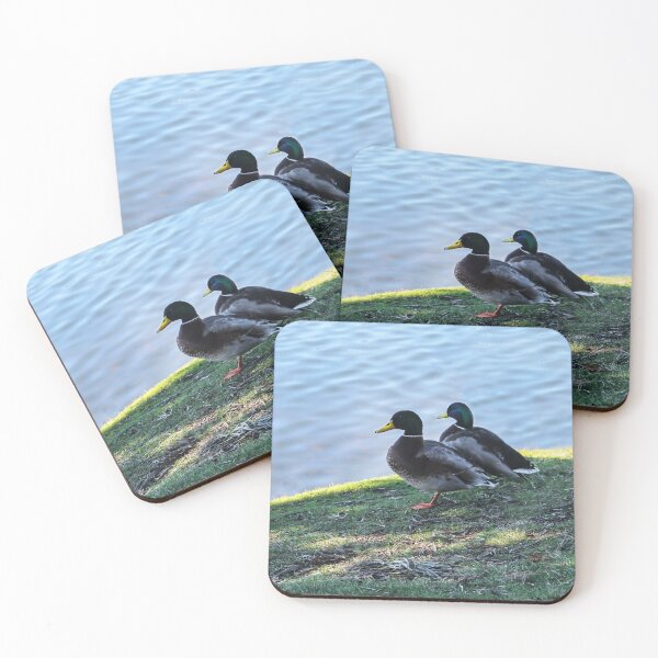Item preview, Waiting Ducks designed and sold by heatherfriedman.