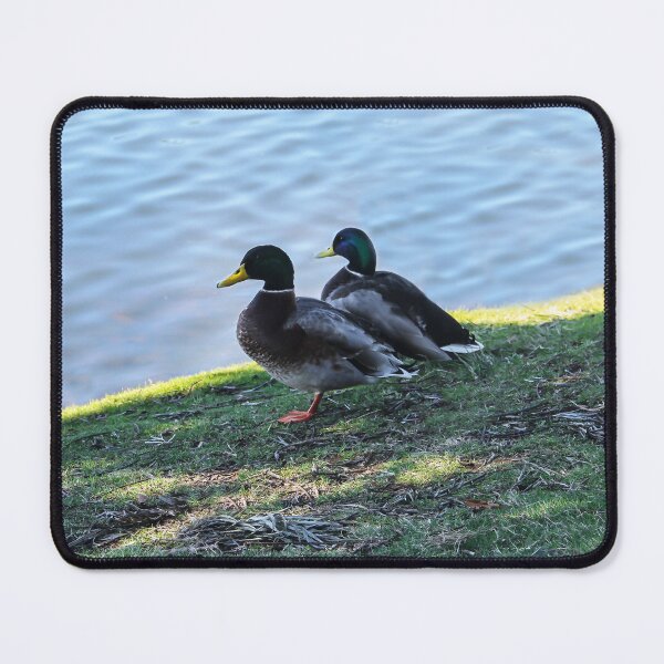 Item preview, Waiting Ducks designed and sold by heatherfriedman.