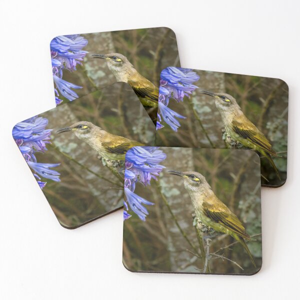 Item preview, Honeyeater On Agapanthus designed and sold by sandraanderson.