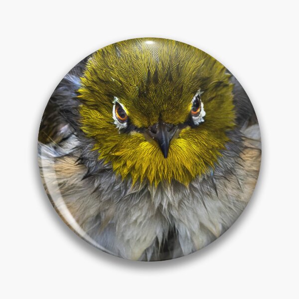 Item preview, Silver Eye designed and sold by sandraanderson.