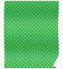 Scalemail Green Poster