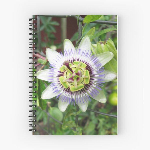 Item preview, Passion Flower English Garden designed and sold by SillaHoekstra.