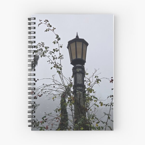 Item preview, Nature photography  designed and sold by xrayzebra.