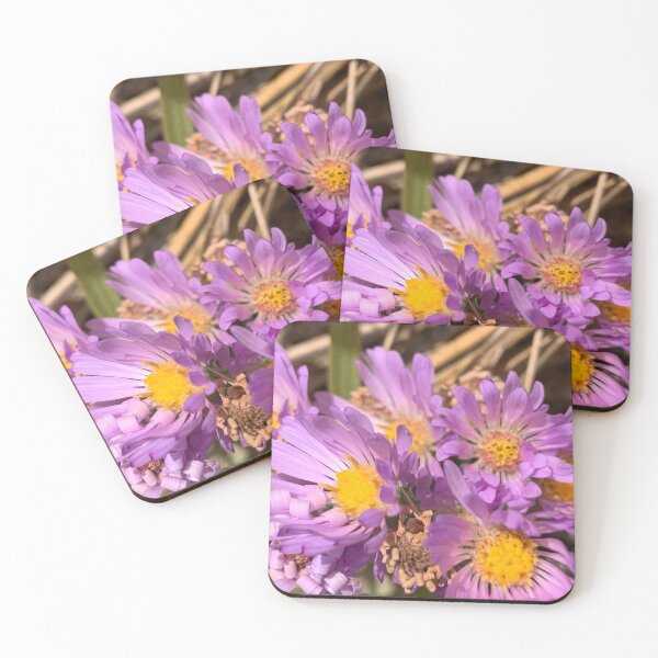 Item preview, Habla sin palabras designed and sold by Betsy Phillips.