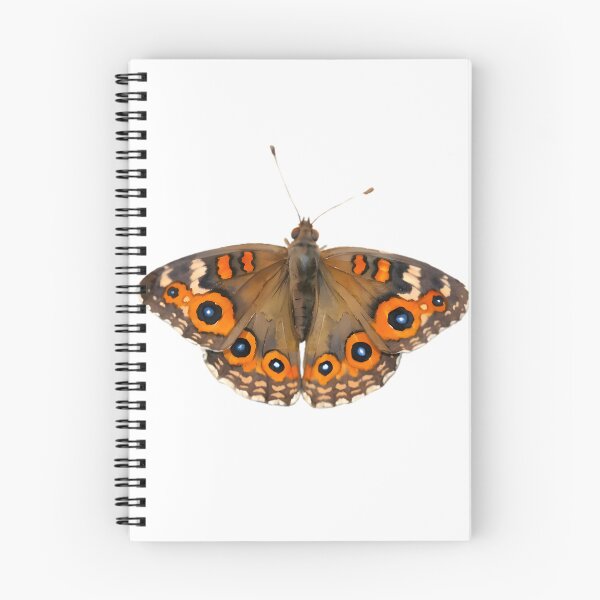 Item preview, Meadow Argus (Junonia villida) designed and sold by HOMETOWN86.