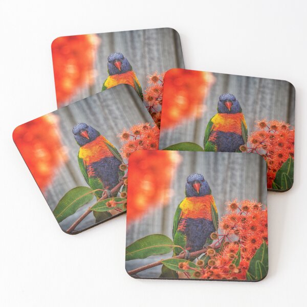 Item preview, Rainbow Lorikeet in Baby Orange Eucalypt designed and sold by redkitephotos.