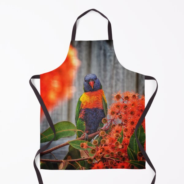 Item preview, Rainbow Lorikeet in Baby Orange Eucalypt designed and sold by redkitephotos.