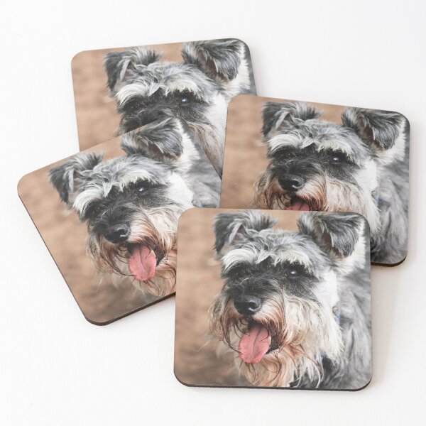 Item preview, Miniature Schnauzer Portrait – Cute Bearded Dog Art, Black & Silver Schnauzer Photography designed and sold by leonwoods.