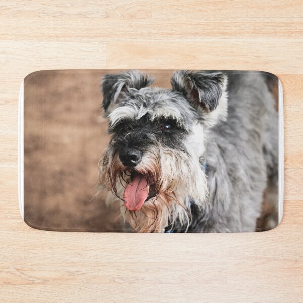 Item preview, Miniature Schnauzer Portrait – Cute Bearded Dog Art, Black & Silver Schnauzer Photography designed and sold by leonwoods.