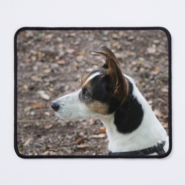 Item preview, Jack Russell Terrier Portrait – Energetic Dog Photography, Cute Small Dog Art, Pet Lover Gift designed and sold by leonwoods.