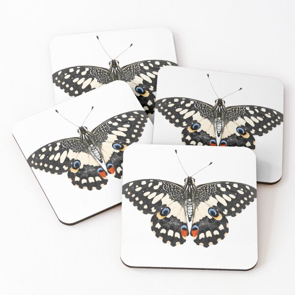 Item preview, Chequered Swallowtail (Papilio demoleus) designed and sold by HOMETOWN86.