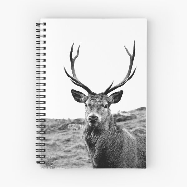Item preview, European Red Stag - b/w designed and sold by Leeanne Mackay.