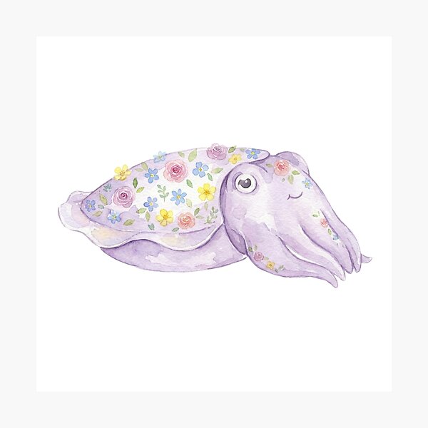 Item preview, Kawaii Watercolor Cuttlefish 2 designed and sold by xMErCUrY03x.