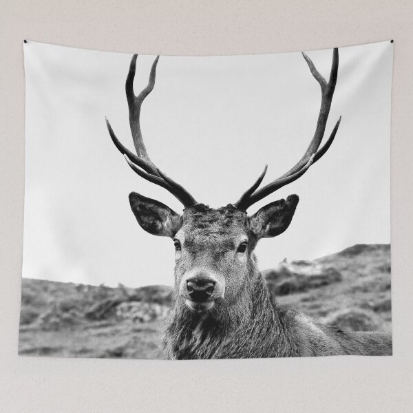 Item preview, European Red Stag - b/w designed and sold by Leeanne Mackay.