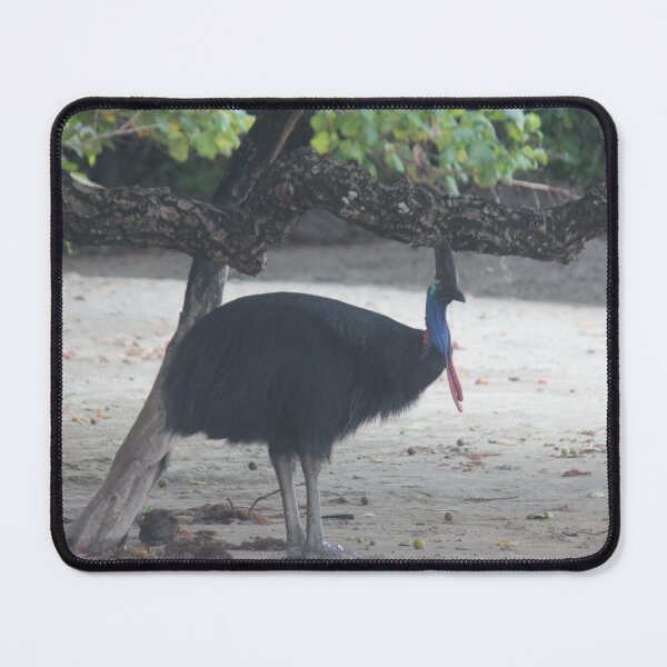 Item preview, Cassowary stroll On the beach designed and sold by Quiet Bloom Co.