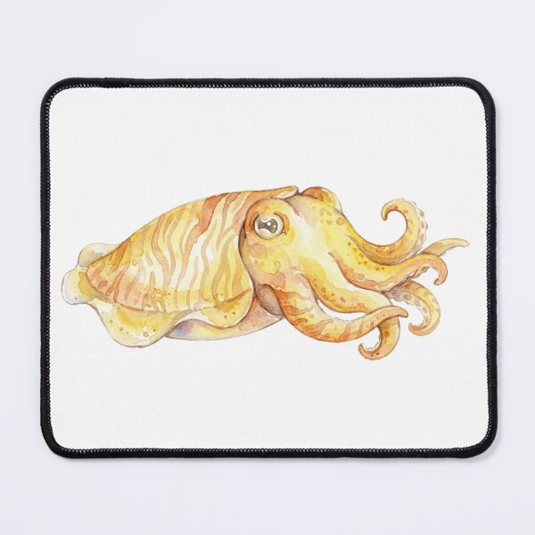 Item preview, Kawaii Watercolor Cuttlefish 5 designed and sold by xMErCUrY03x.
