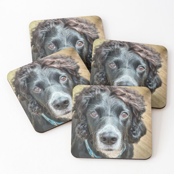 Item preview, Black English Cocker Spaniel Portrait – Elegant Dog Photography, Spaniel Dog Art, Pet Lover Gift designed and sold by leonwoods.