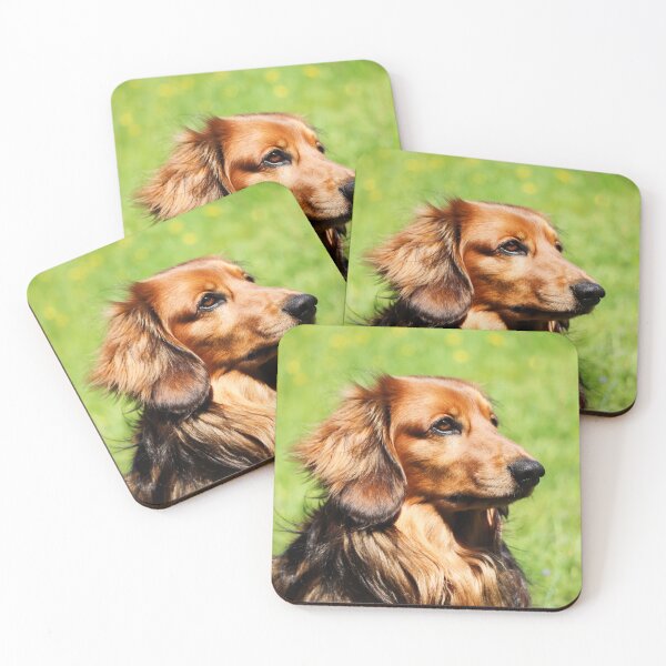 Item preview, Long-Haired Dachshund Portrait – Cute Sausage Dog Photography, Pet Lover Gift, Small Dog Art designed and sold by leonwoods.
