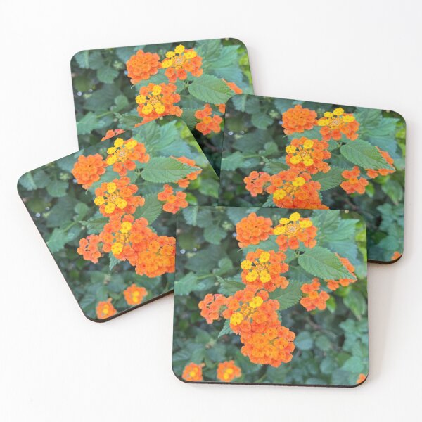 Item preview, Lantana designed and sold by Alexander Krishchyunas.