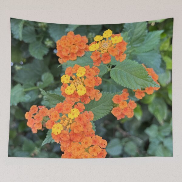 Item preview, Lantana designed and sold by Alexander Krishchyunas.