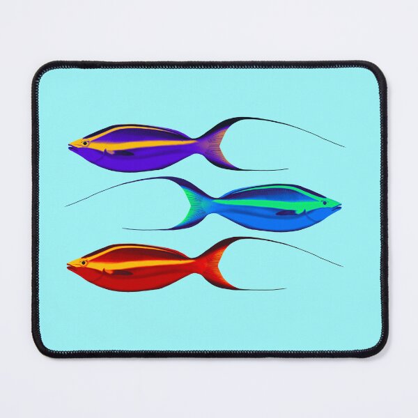 Item preview, brightly coloured fish designed and sold by Windswell.