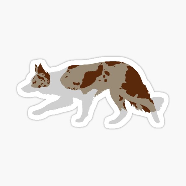 Border Collie (Red Merle and White) Sticker