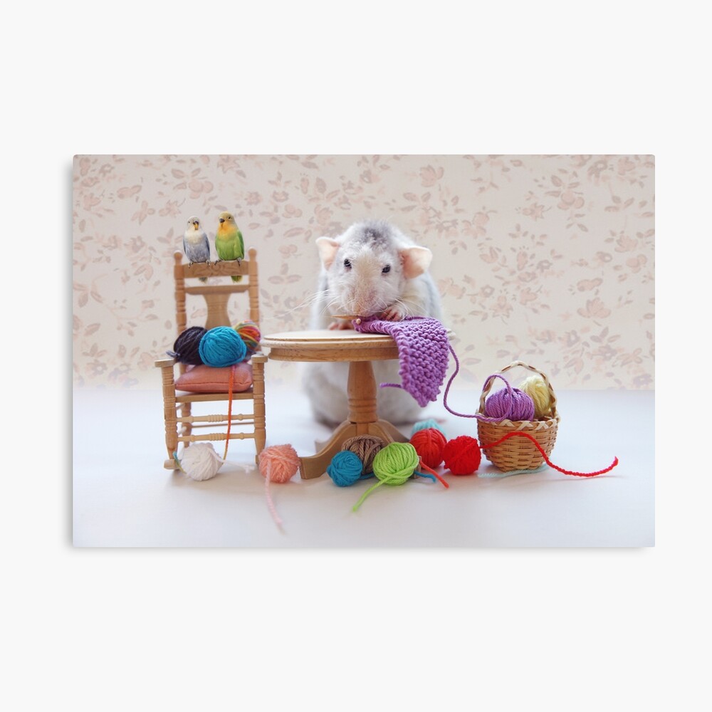 Rosie knitiing with friends Canvas Print