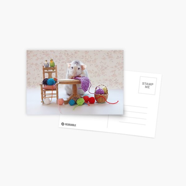 Rosie knitiing with friends Postcard