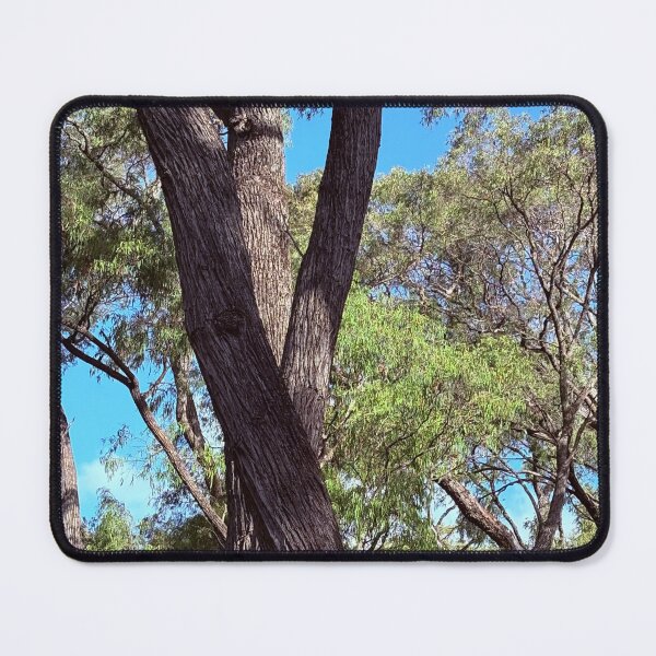 Item preview, Bright colours of the twisted trees designed and sold by Rose-Wise.