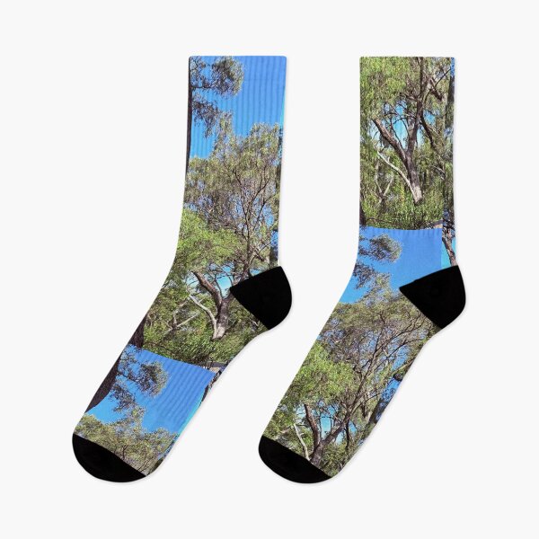 Item preview, Bright colours of the twisted trees designed and sold by Rose-Wise.