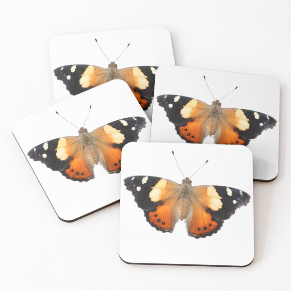 Item preview, Australian Admiral (Vanessa itea) designed and sold by HOMETOWN86.