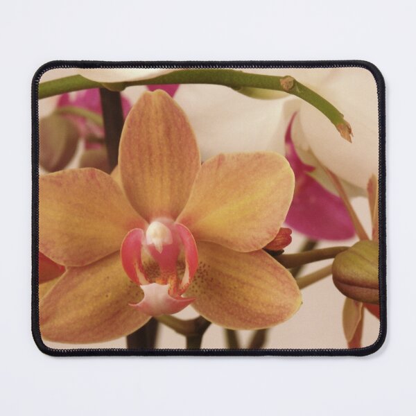 Item preview, Unique Orchid  designed and sold by Betulek.