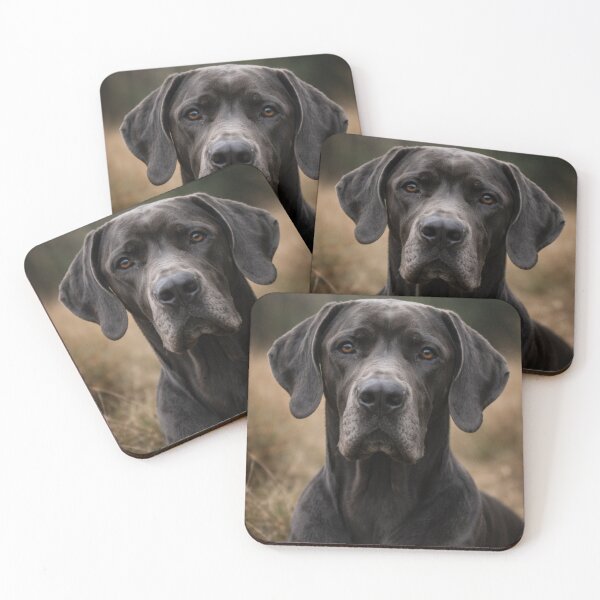 Item preview, Great Dane Portrait – Noble and Calm Large Dog designed and sold by Darlin8888.